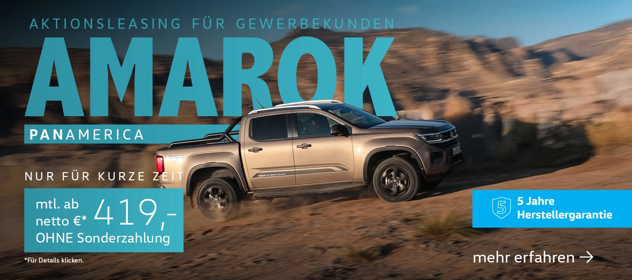 Amarok Gewerbeangebote