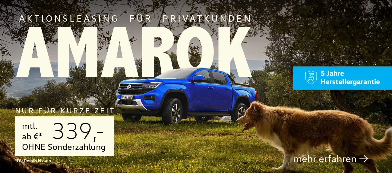 Amarok Privatangebot