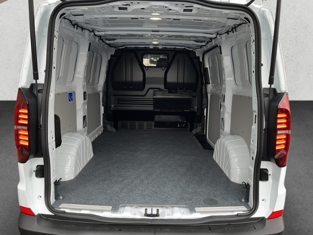 Transporter Kasten BEV