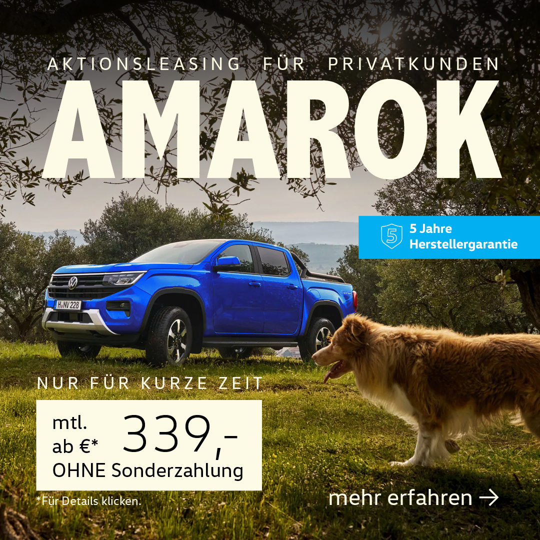 BEITRAG PRIVAT Amarok