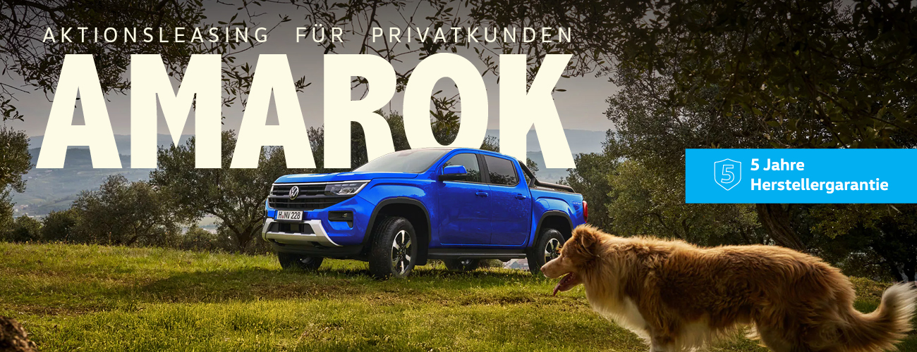 HEADER PRIVAT Amarok