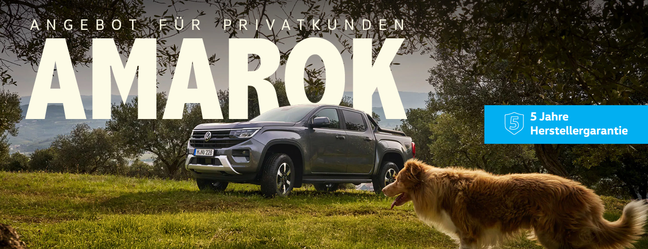 HEADER PRIVAT VW Amarok