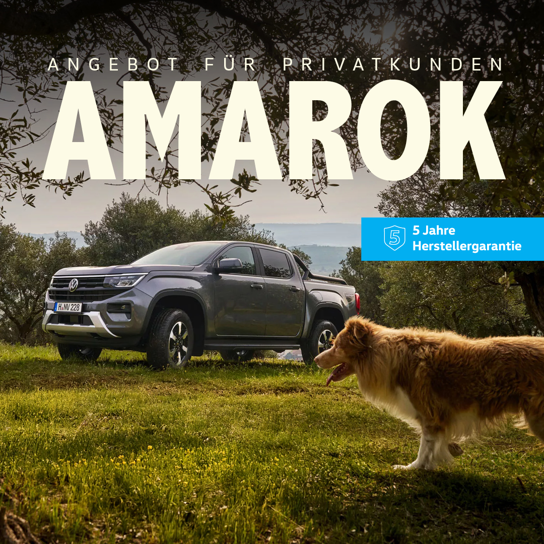 HEADER SMALL PRIVAT VW Amarok