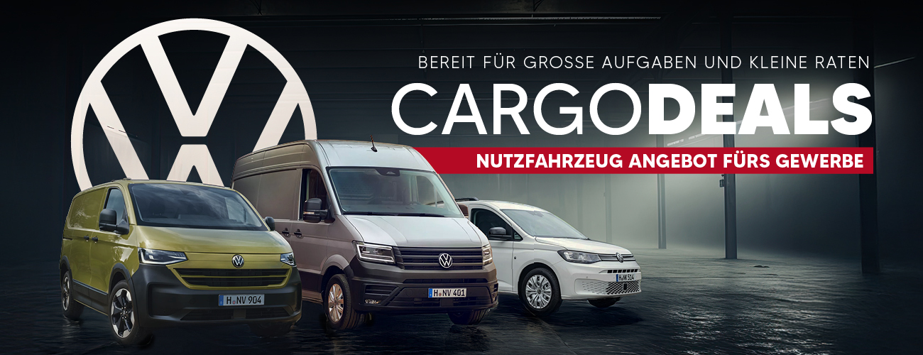 HEADER DESKTOP VW Kastenwagen 10 25