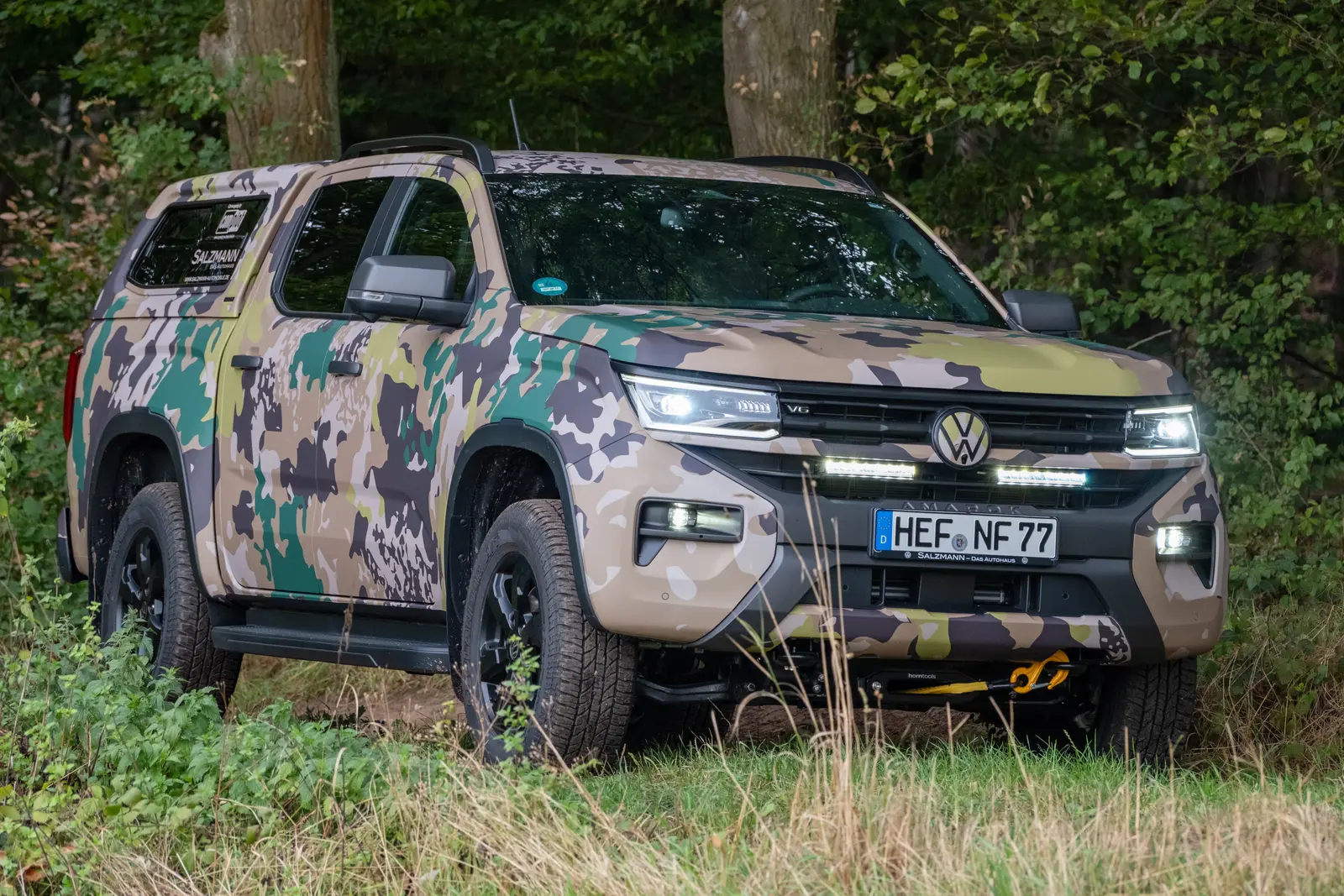 Amarok Jagd am Waldrand
